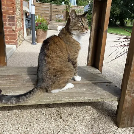 D'hotes Aux Ecuries Du Chateau