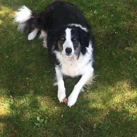 D'hotes Aux Ecuries Du Chateau * Contremoulins