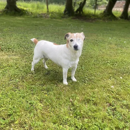 Bed & Breakfast D'hotes Aux Ecuries Du Chateau