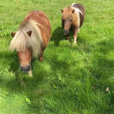 Bed & Breakfast D'hotes Aux Ecuries Du Chateau Contremoulins